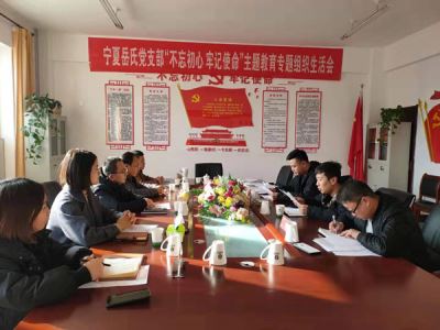 寧夏岳氏黨支部召開“不忘初心，牢記使命”主題教育專題組織生活會